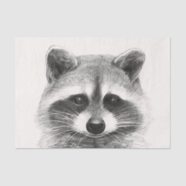 Papel De Seda Desenho do Lápis de Raccoon (Frente )