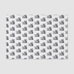 Papel De Seda Desenho em Preto e Branco de Cabeça de Javali Anti