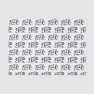 Papel De Seda Desenho em Preto e Branco de Javali Antigo #2
