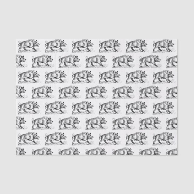 Papel De Seda Desenho em Preto e Branco de Javali Antigo #2 (Frente )