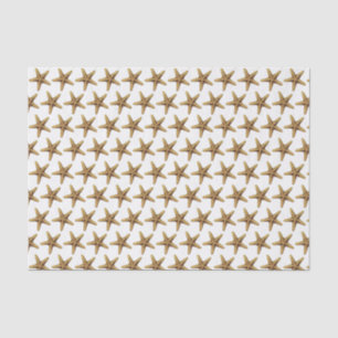 Papel De Seda Desenho Estilizado de Estrela do Mar Vintage