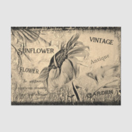 Papel De Seda Desenho Sunflower Art Vintage Antique Ephemera