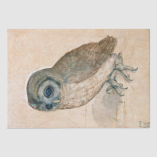 PAPEL DE SEDA DESENHOS DE ANIMAIS DE RENAÍSCIA/OWL