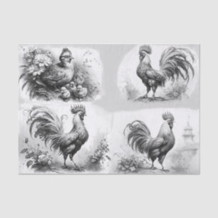 Papel De Seda Desenhos do Rooster