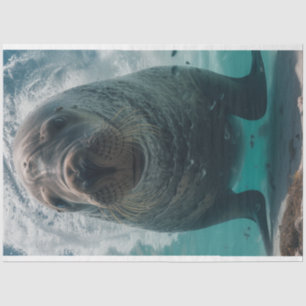 Papel De Seda Desentupir Águas Vibrantes do Teal Ocean com Manat