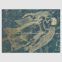 Design 11 Dourado Galaxy Star Series