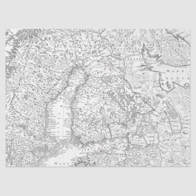 Papel De Seda Design 12 da série Map digital preto e branco (Frente )