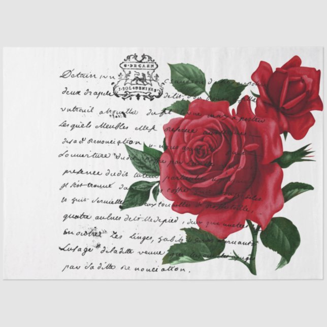 Papel De Seda Design 13 da Série de Manuscrito e Rosa vermelha e (Frente )