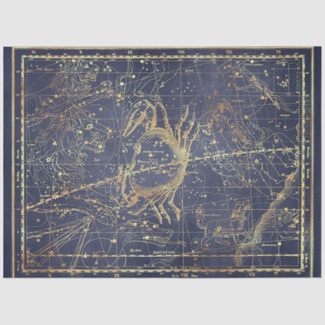 Papel De Seda Design 15 do Dourado Star Map Series (Frente )