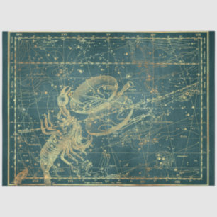 Papel De Seda Design 23 do Dourado Star Map Series