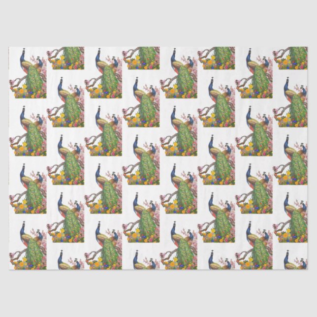 Papel De Seda Design 7 da série Peacock (Frente )