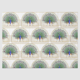 Papel De Seda Design 8 da série Peacock