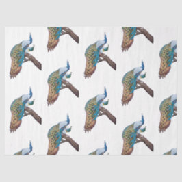 Papel De Seda Design 9 da série Peacock