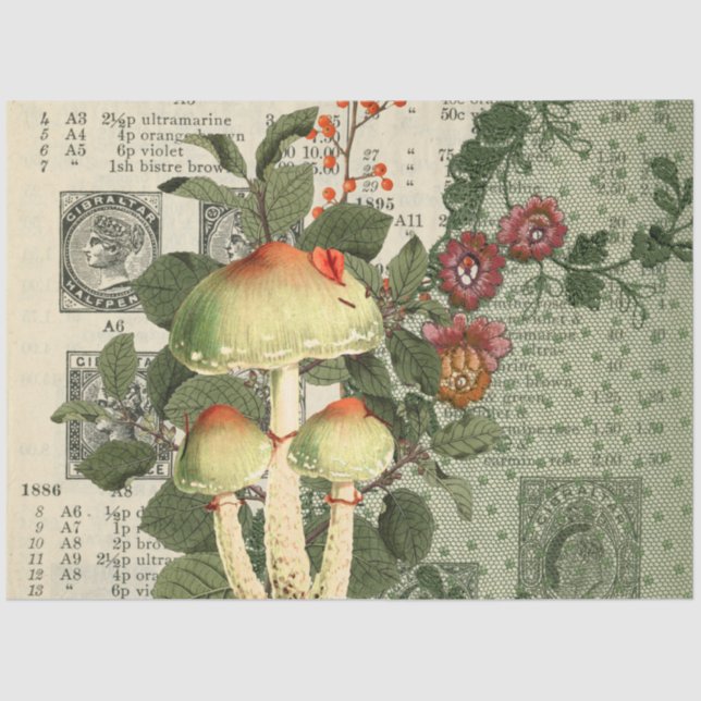 Papel De Seda Design da série Mushroom Ephemera nº 12 (Frente )