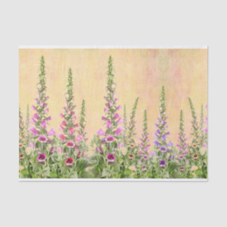Papel De Seda Design das flores do Foxglove