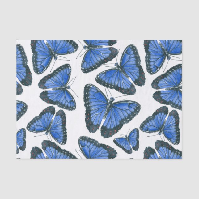 Papel De Seda Design de padrão de borboleta morfo azul (Frente )