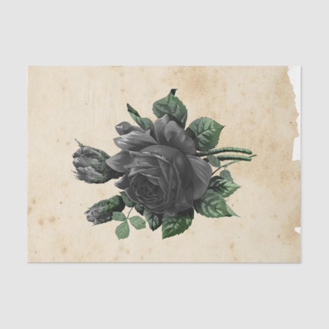 Papel De Seda Design Ephemera nº 9 (Frente )