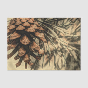 Papel De Seda Design Rústico Pine Cone