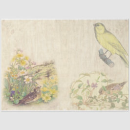 Papel De Seda Design Série de Pássaros Vintage 1