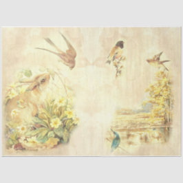 Papel De Seda Design Série de Pássaros Vintage 8