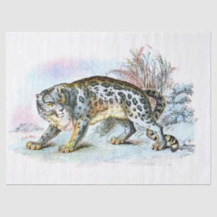 Papel De Seda Desligamento da Ilustração Leopardo da Neve Vintag