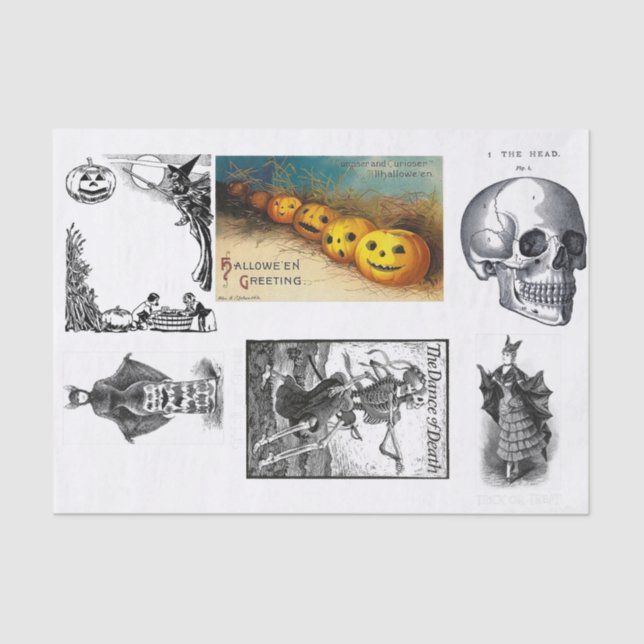 Papel De Seda Desligamento da menagerie do Halloween (Frente )