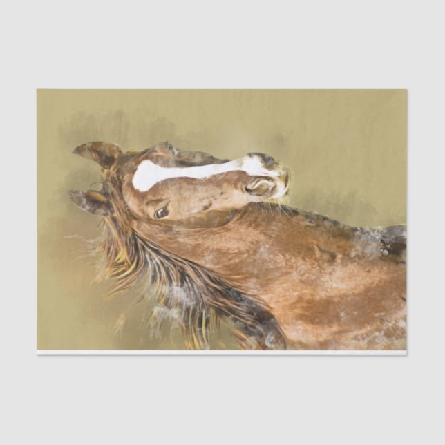 Papel De Seda Desligamento de Aquarela de Horso de Seleção Ameri (Frente )