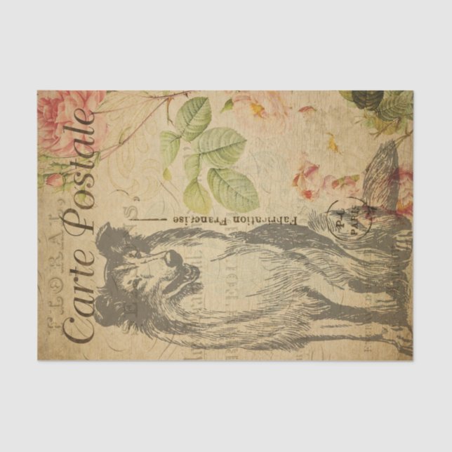 Papel De Seda Desligamento de Cachorro Collie Rough FrenchPostca (Frente )