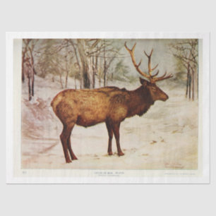 Papel De Seda Desligamento de Ephemera do Elk Deer Stag Vintage