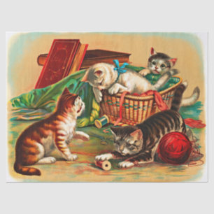 Papel De Seda Desligamento de Gatinhos Brancos Brancos e Bonitos