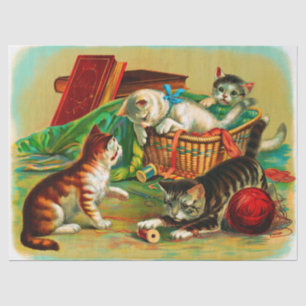 Papel De Seda Desligamento de Gatinhos Brancos Brancos e Bonitos