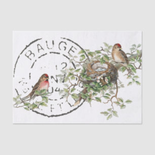 Papel De Seda Desligamento de Vintage do Pird Nest Francês