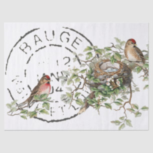 Papel De Seda Desligamento de Vintage do Pird Nest Francês