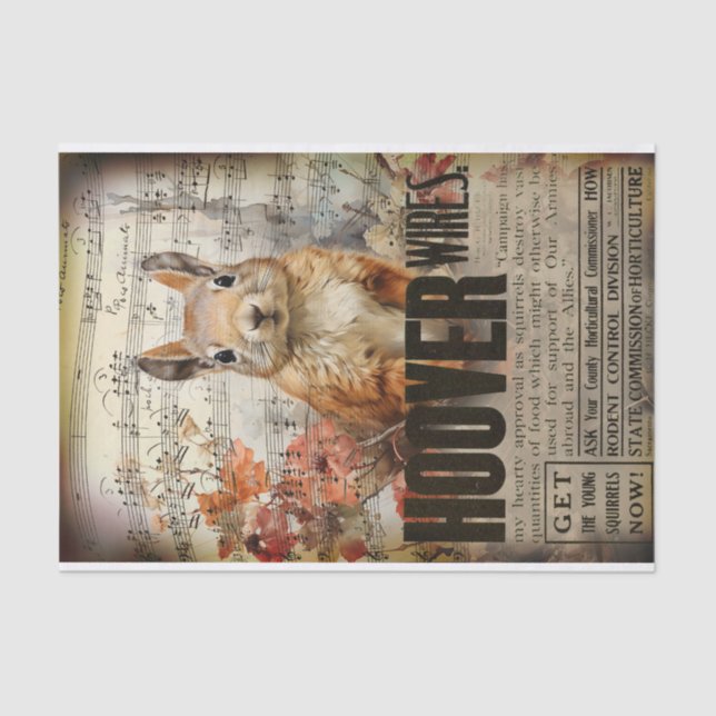 Papel De Seda Desligamento do Esquilo Vintage Ephemera (Frente )