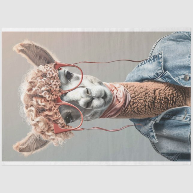 Papel De Seda Desligamento do Pintinho de anca Llama (Frente )