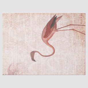 Papel De Seda Desligamento Flamingo Rosa Vintage