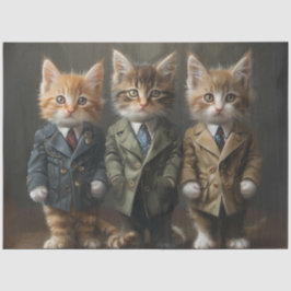 Papel De Seda Desligar 3 Gatinhos Vestidos em Suites Comerciais