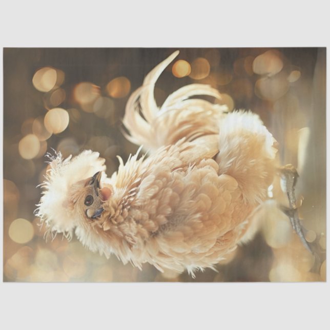 Papel De Seda Desligar a Silkie Showgirl Frango Fluffy Plumage (Frente )