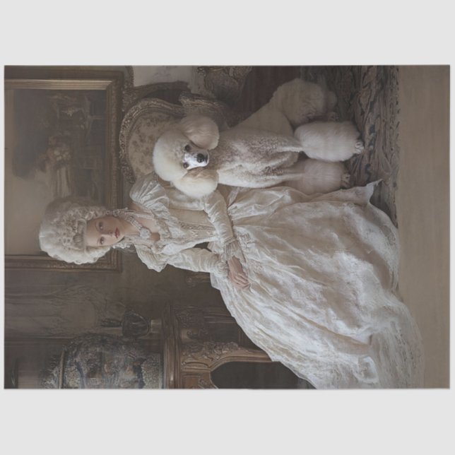 Papel De Seda Desligar Estilo Rococo Dama e Poodle Padrão (Frente )