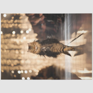 Papel De Seda Desligar Gato Elaborado Andando Pela Pista