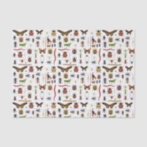 Desligar Insetos Festa de aniversário