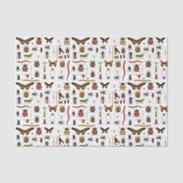 Papel De Seda Desligar Insetos Festa de aniversário