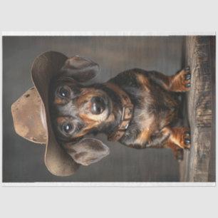 Papel De Seda Desligar o cão do xerife do Dachshund no Intervalo