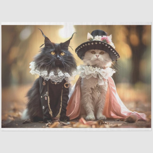 Papel De Seda Desligar os Gatos Franceses Mística e Duquesa (Frente )