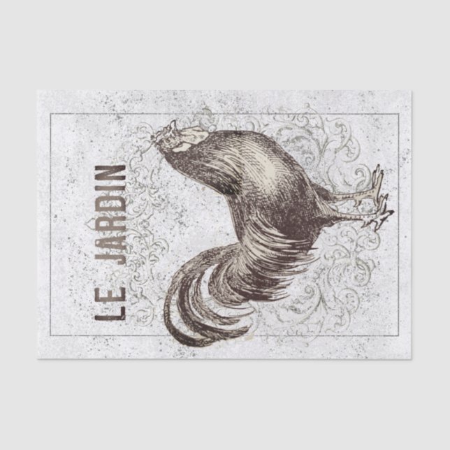 Papel De Seda Desnute de galinha galinha francesa Grunge (Frente )