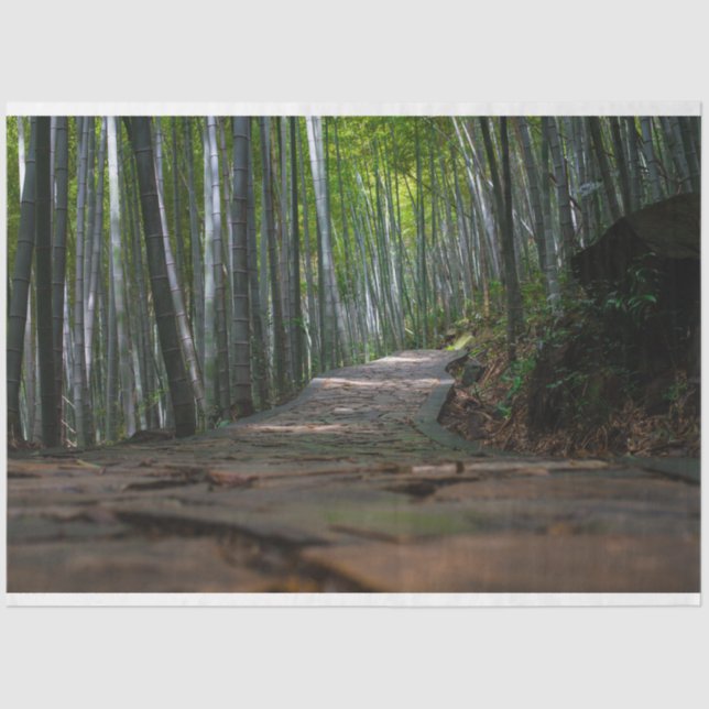 Papel De Seda Desnuvem de Floresta de Bambu 12 Fundo  (Frente )