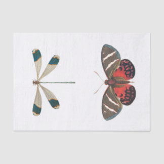 Papel De Seda Desvinculação do jardim