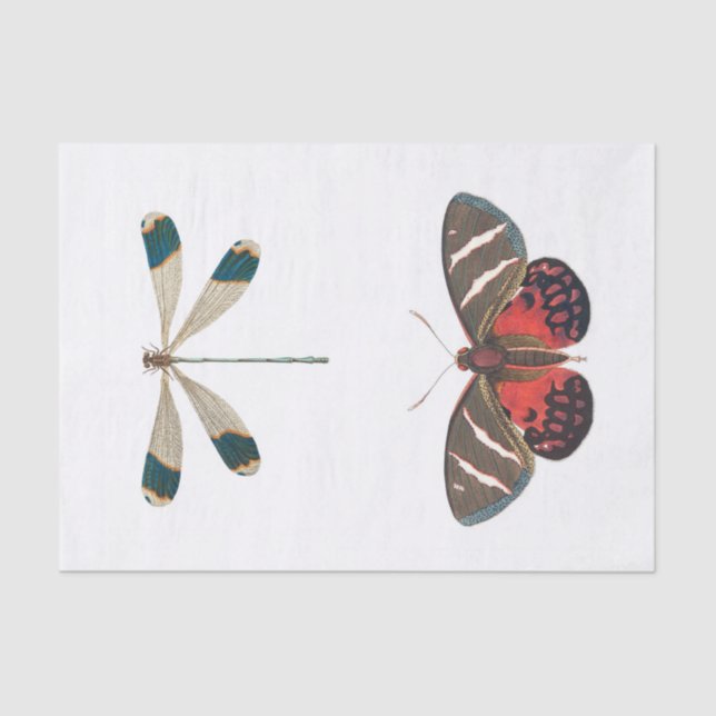 Papel De Seda Desvinculação do jardim (Frente )