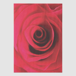 Papel De Seda Detalhe de rosa vermelha, redemoinho floral abstra