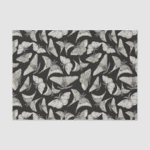 Dia das Bruxas da Borboleta Negra